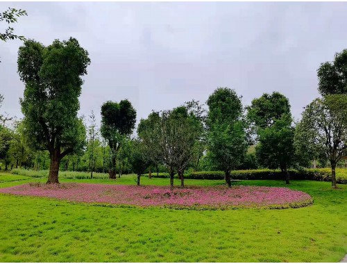 泉州市政綠化種植土單價