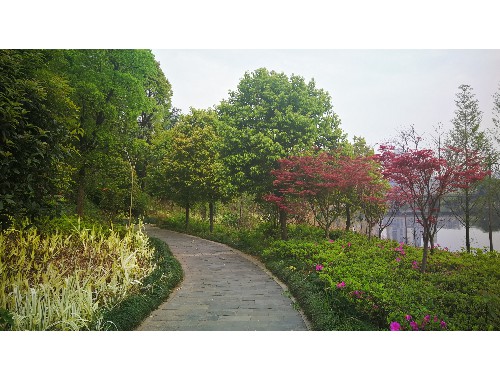 河北城市綠化包括哪些內容