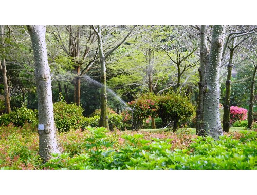 河西城市綠化養護質量標準