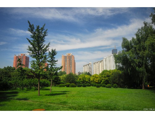 沈陽學校綠化工程施工