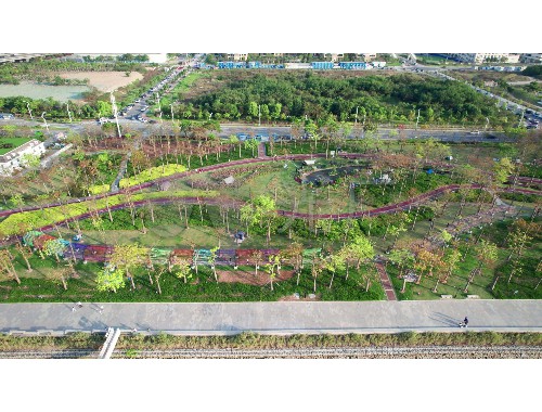 江山綠化苗木批發市場在哪