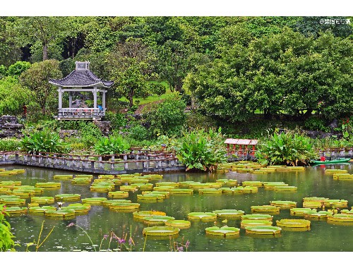 泗縣藍潤園林綠化工程有限公司