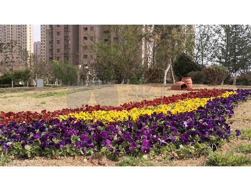 沈陽鑫陽園林綠化工程