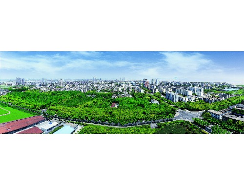 大理市政綠化工程是什么工程