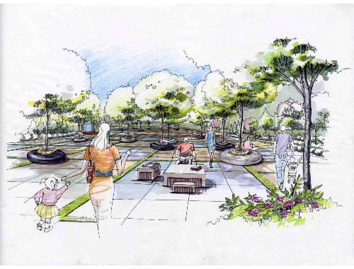 沙河園林綠化草坪批發市場
