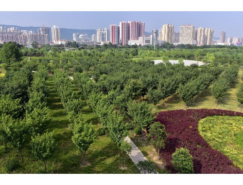 萬源小區綠化工程公司