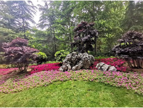 沭陽豐竹園林綠化工程招標