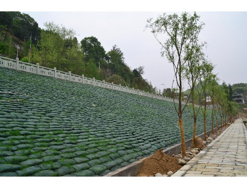 沅江綠化苗木市場規模