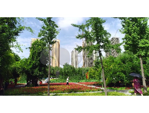 沙河中森園林綠化工程有限公司