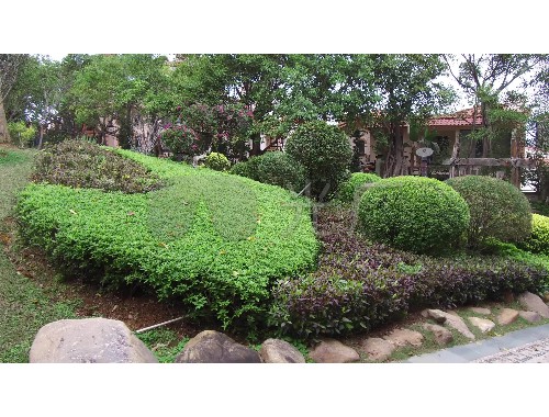 沭陽安置小區綠化工程項目