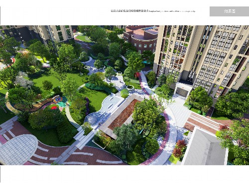 沈陽城市綠化用苗行情