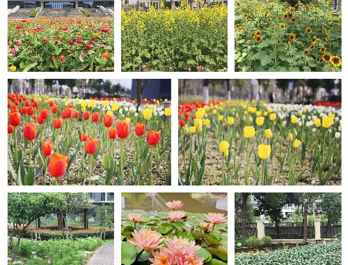 池州綠化公司城市綠化搶險中心