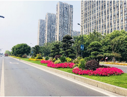 沈陽家庭園林綠化工程招標