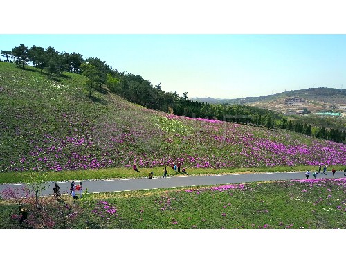 沈陽市公路綠化工程處