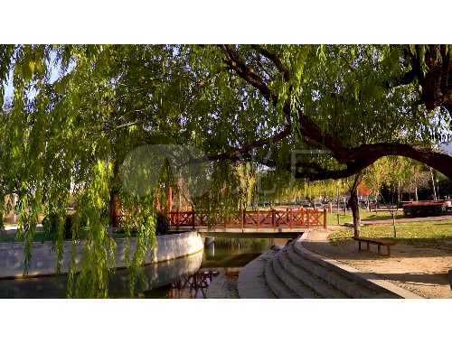 沈陽光圓綠化工程有限公司