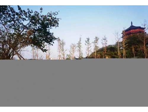 沈陽城市綠化率排名