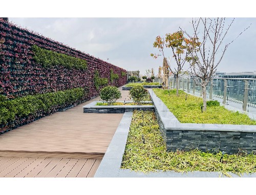 沅江城市道路綠化規范2022