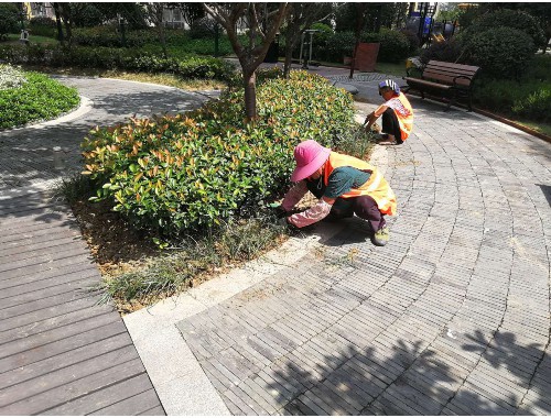 沅江園林綠化處陳江波