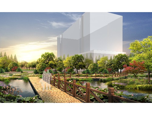 江陰綠化批發市場