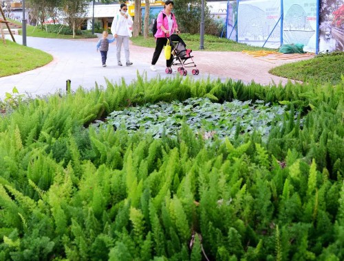 江油市政園林綠化服務中心