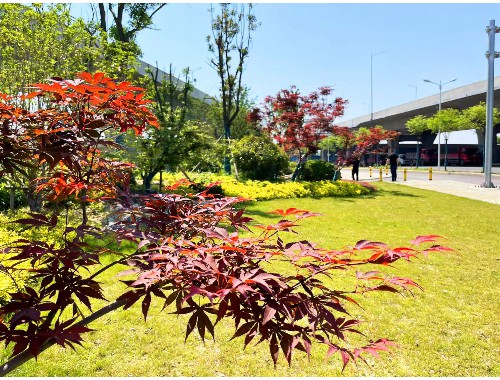 汝州園林綠化處 李建