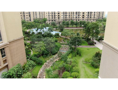沅江市政綠化包括哪些內容