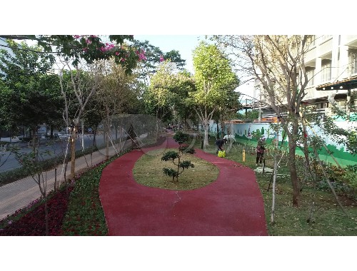 建甌綠化樹苗批發市場在哪兒