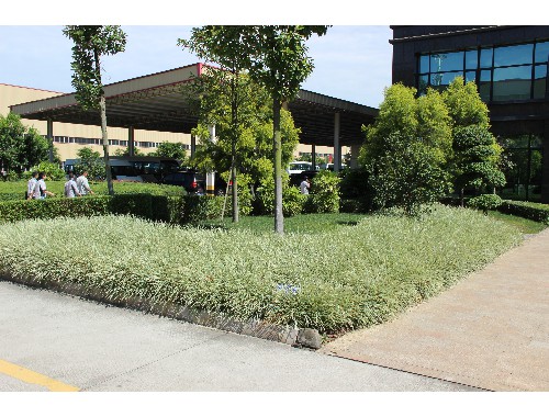 汨羅市政資質能干綠化嗎
