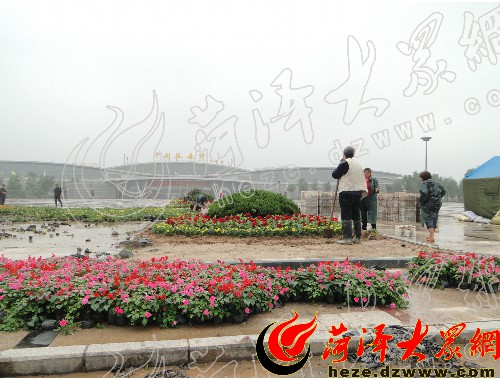 江陰市園林綠化公司