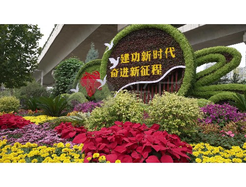 武清綠化養護價格標準文件
