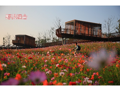 壽光宜新綠化工程有限公司