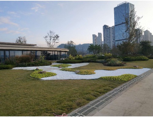 婁底最大的園林綠化苗木市場