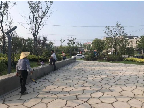 揚中市政綠化工程包括哪些項目內容