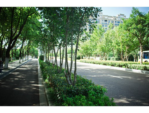 巴中綠化與市容