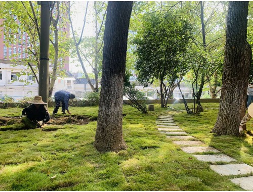 同江市道外區園林綠化管理所