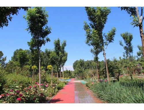 商丘南京市園林綠化公司
