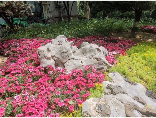 常熟綠化市容林業網