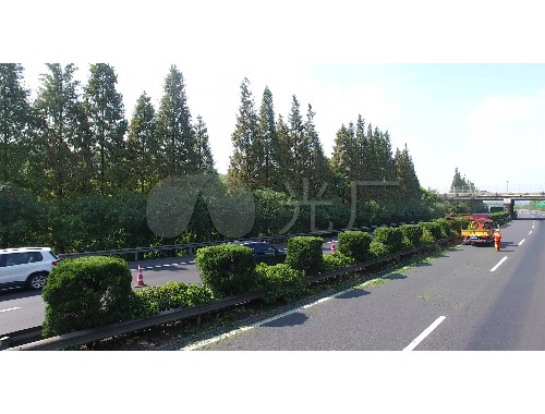 冶父山水庫修復綠化工程