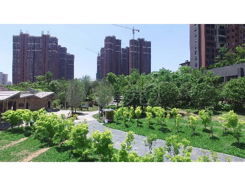 徐州市城市綠化補償費